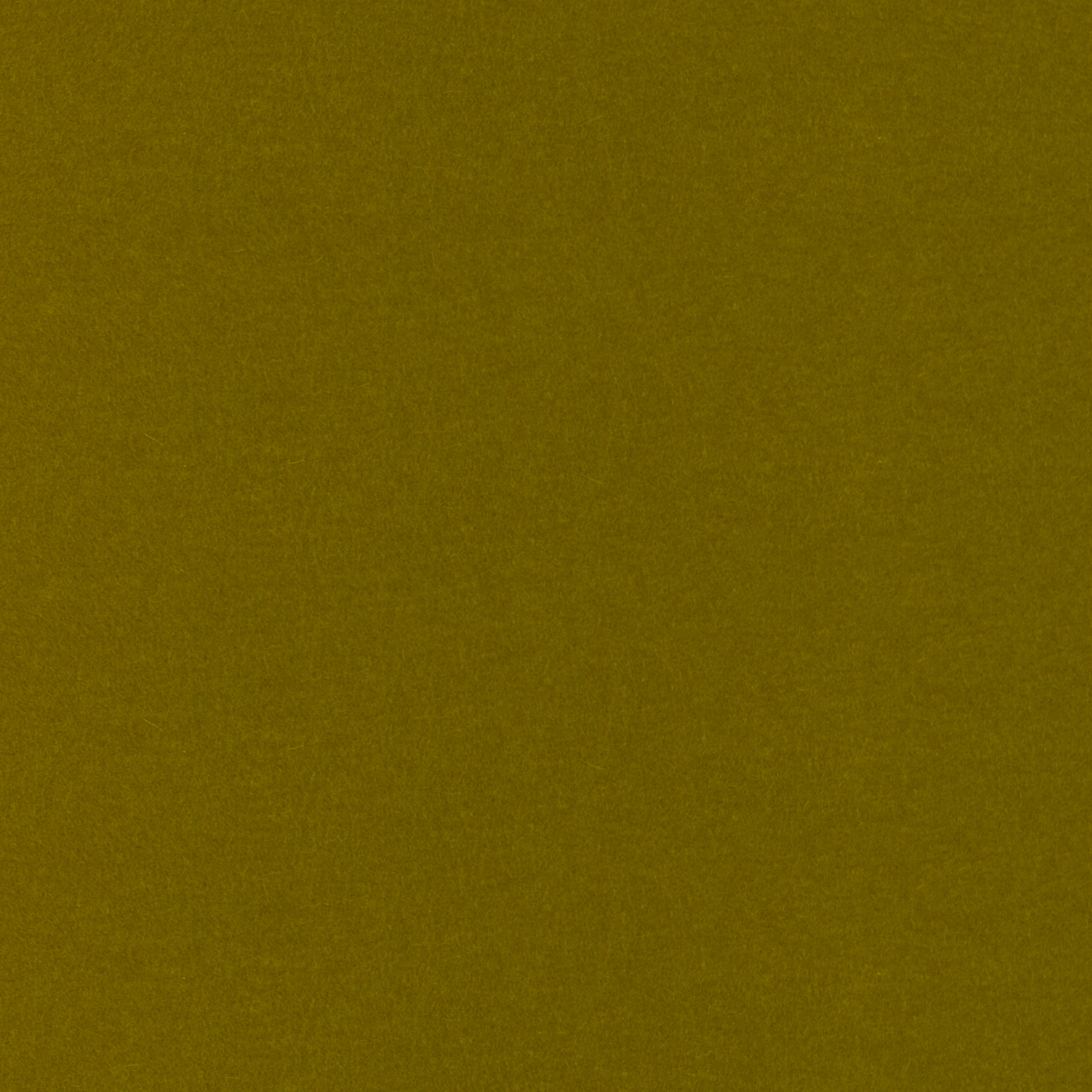 3mm Thick 100% Wool Designer Felt By Foot - Regular Collection