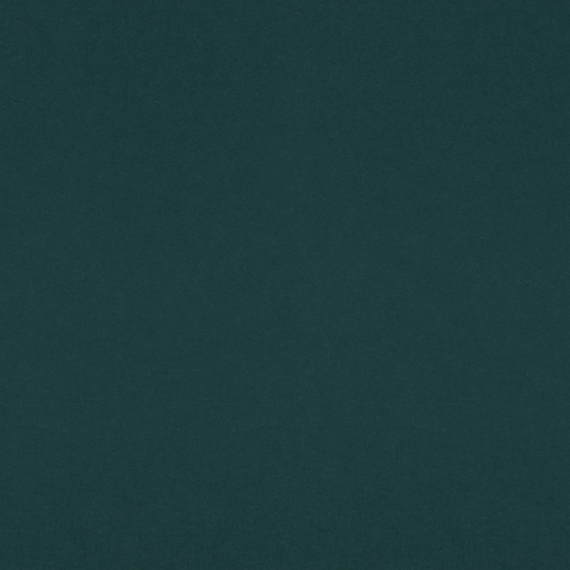 3mm Thick 100% Wool Designer Felt By Foot - Regular Collection