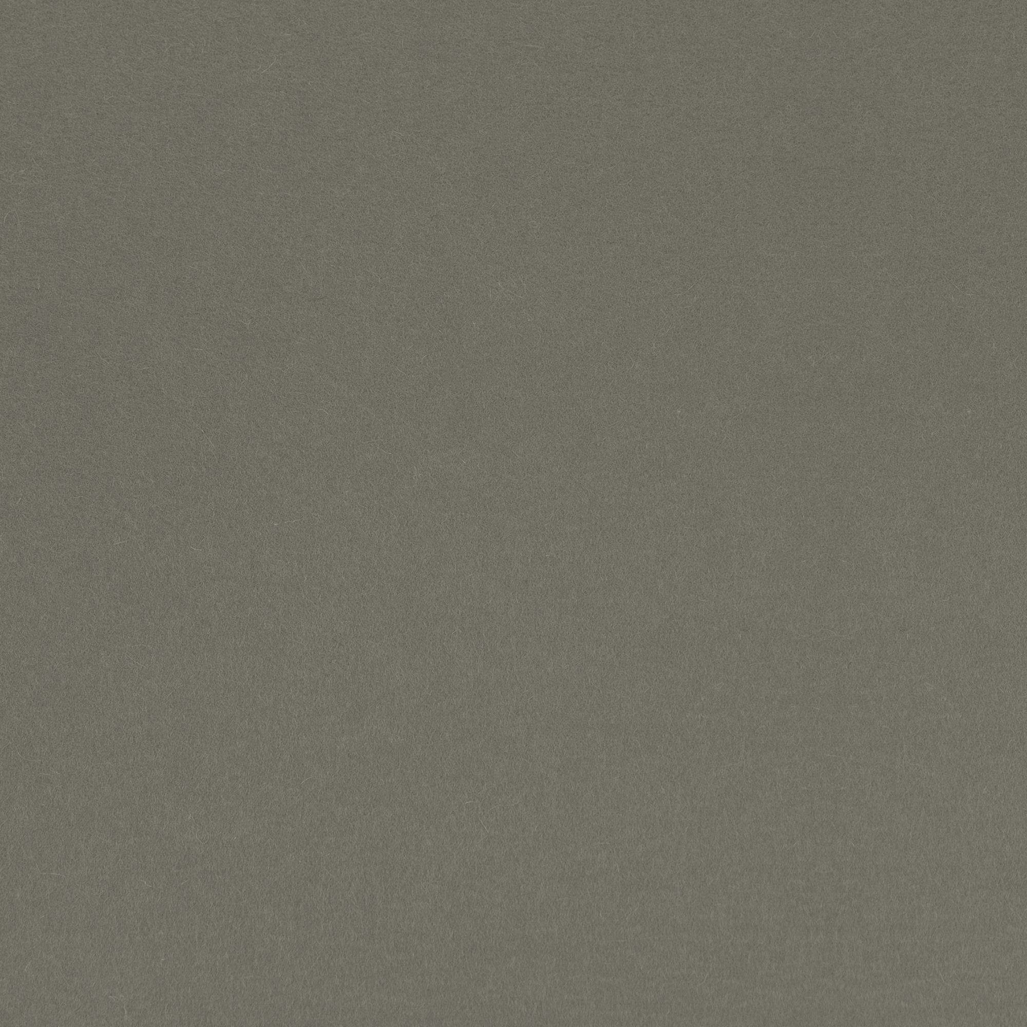 3mm Thick 100% Wool Designer Felt By Foot - Regular Collection