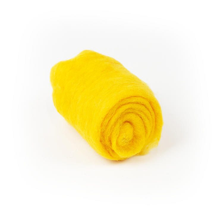 Needle Felting Starter Kit