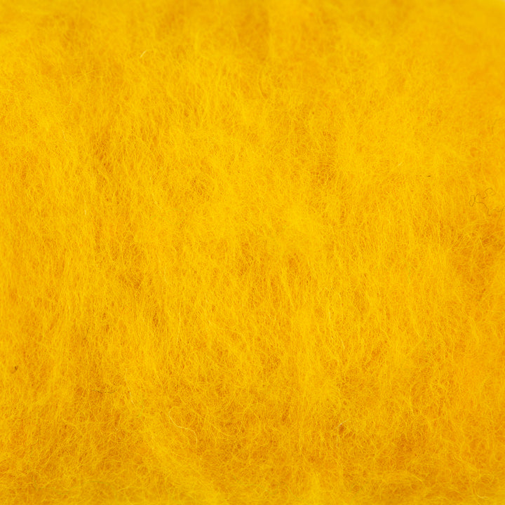 Needle Felting Starter Kit