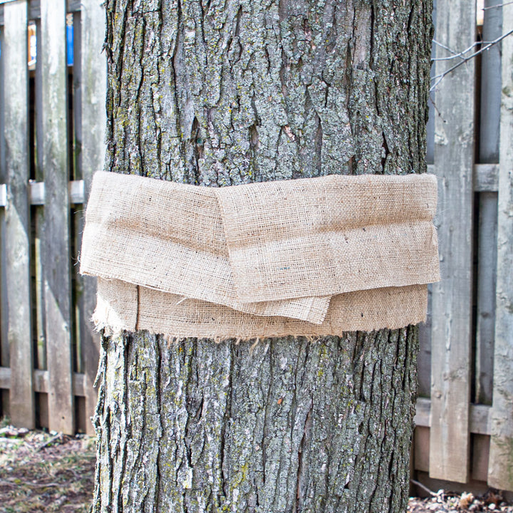 Burlap Plant Cover - 40" Wide x 12 ft Long